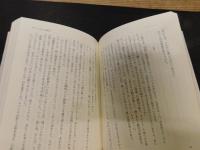 「幻のマドリード通信」