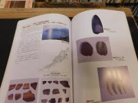 「西四国の縄文文化」　 平成13年度企画展