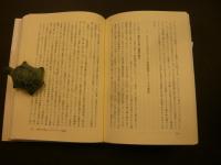 「幻影のローマ」　伝統〉の継承とイメージの変容