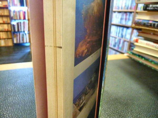 ああ北山王国 　南走平家の裔たち　親川光繁著 ああ北山王国 　南走平家の裔たち　親川光繁著