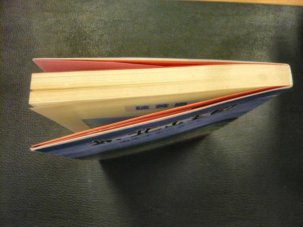 ああ北山王国 　南走平家の裔たち　親川光繁著 ああ北山王国 　南走平家の裔たち　親川光繁著