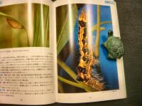 「沖縄の危険生物」　野外活動を安全にすごすためのガイドブック