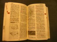 「はじめての中国語学習辞典」
