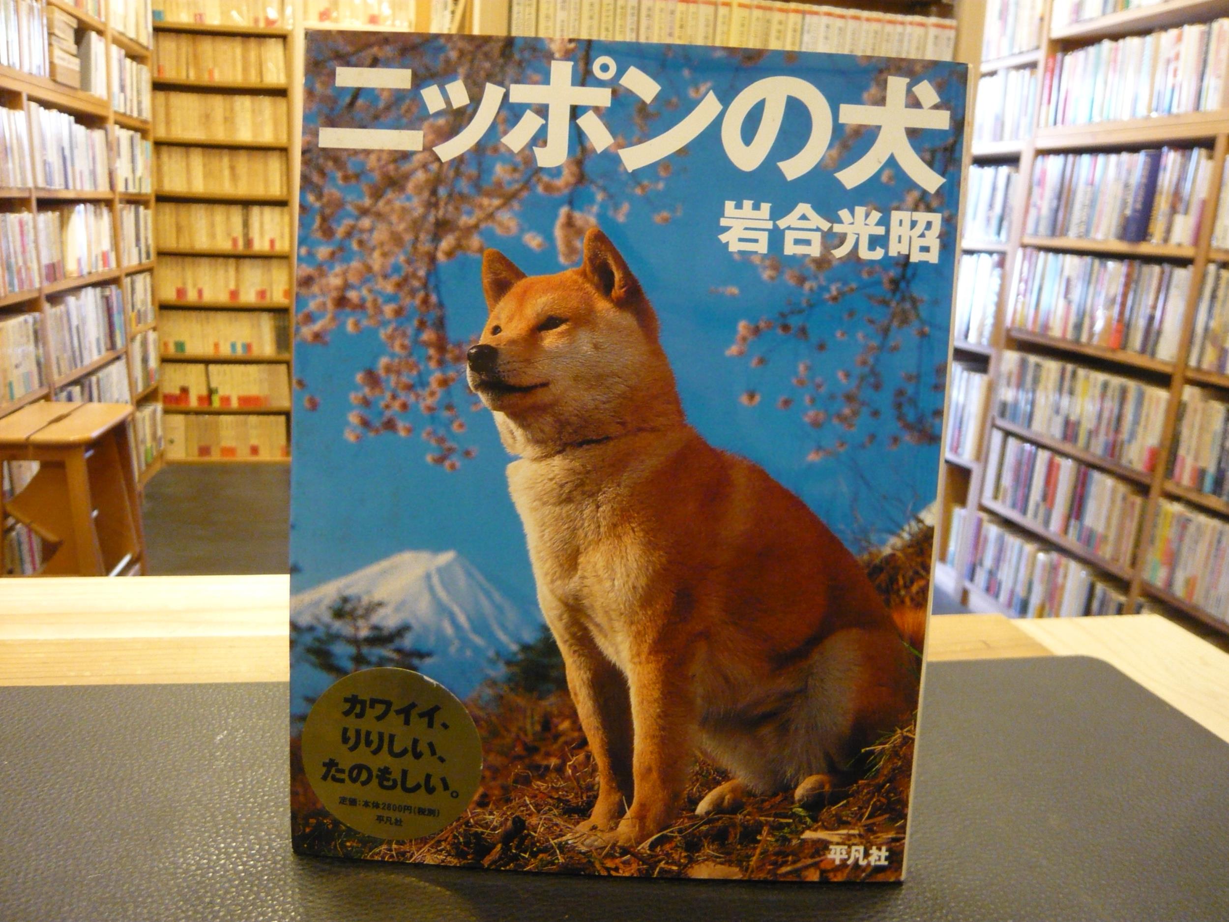 ニッポンの犬 岩合光昭 写真 岩合日出子 文 古本 中古本 古書籍の通販は 日本の古本屋 日本の古本屋 ニッポンの犬 岩合光昭 写真 岩合日出子 文 古本 中古本 古書籍の通販は 日本の古本屋 日本の古本屋