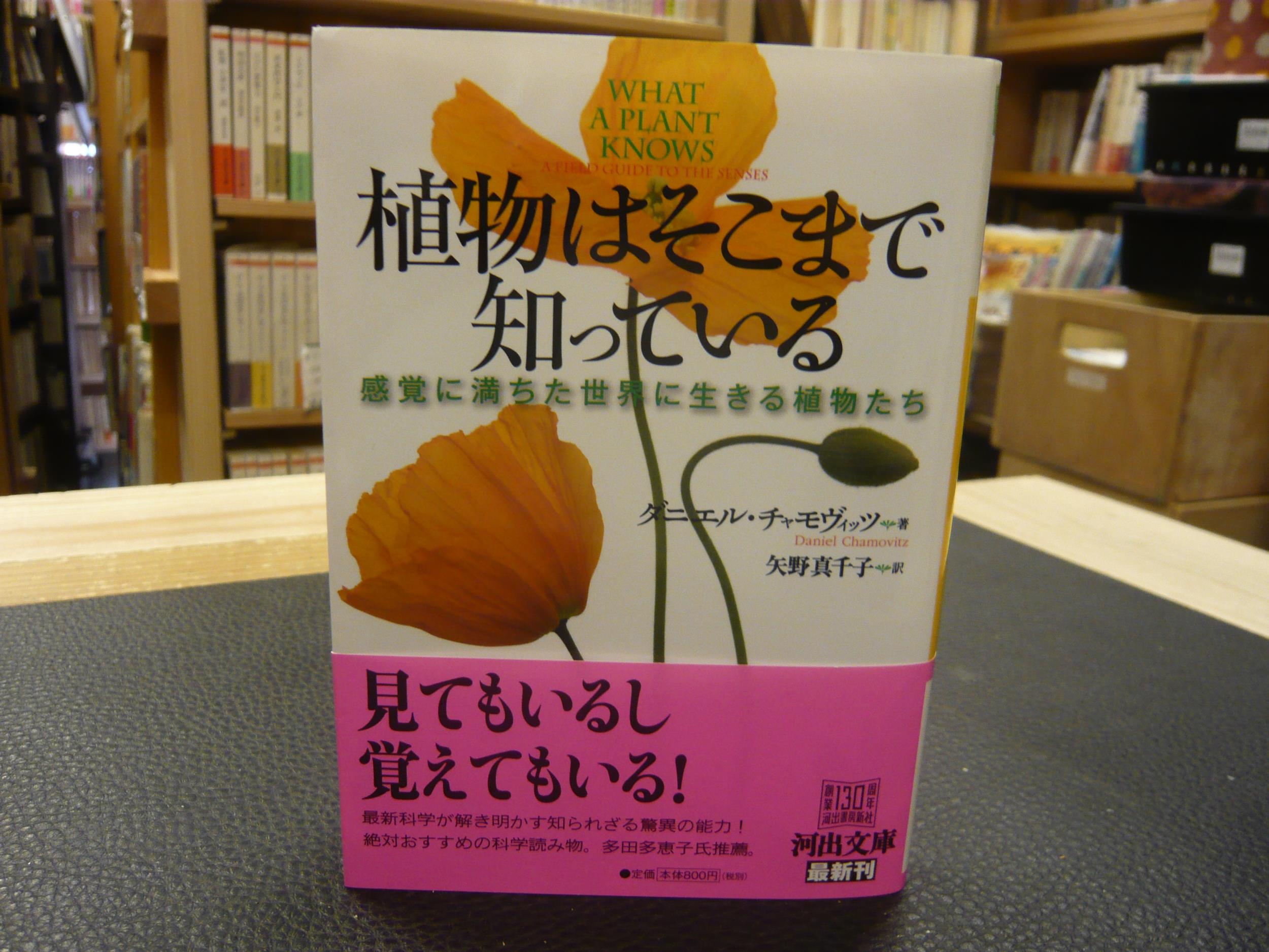 植物はそこまで知っている 河出文庫 ダニエル チャモヴィッツ 著 矢野 真千子 翻訳 古本 中古本 古書籍の通販は 日本の古本屋 日本の古本屋