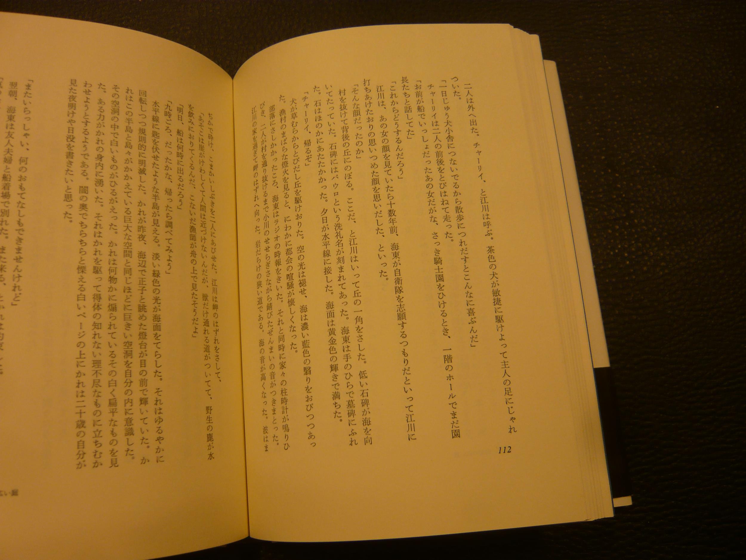 海辺の広い庭」 | 野呂邦暢 著 | 文芸春秋 | ¥1,800 - 日本の古本屋
