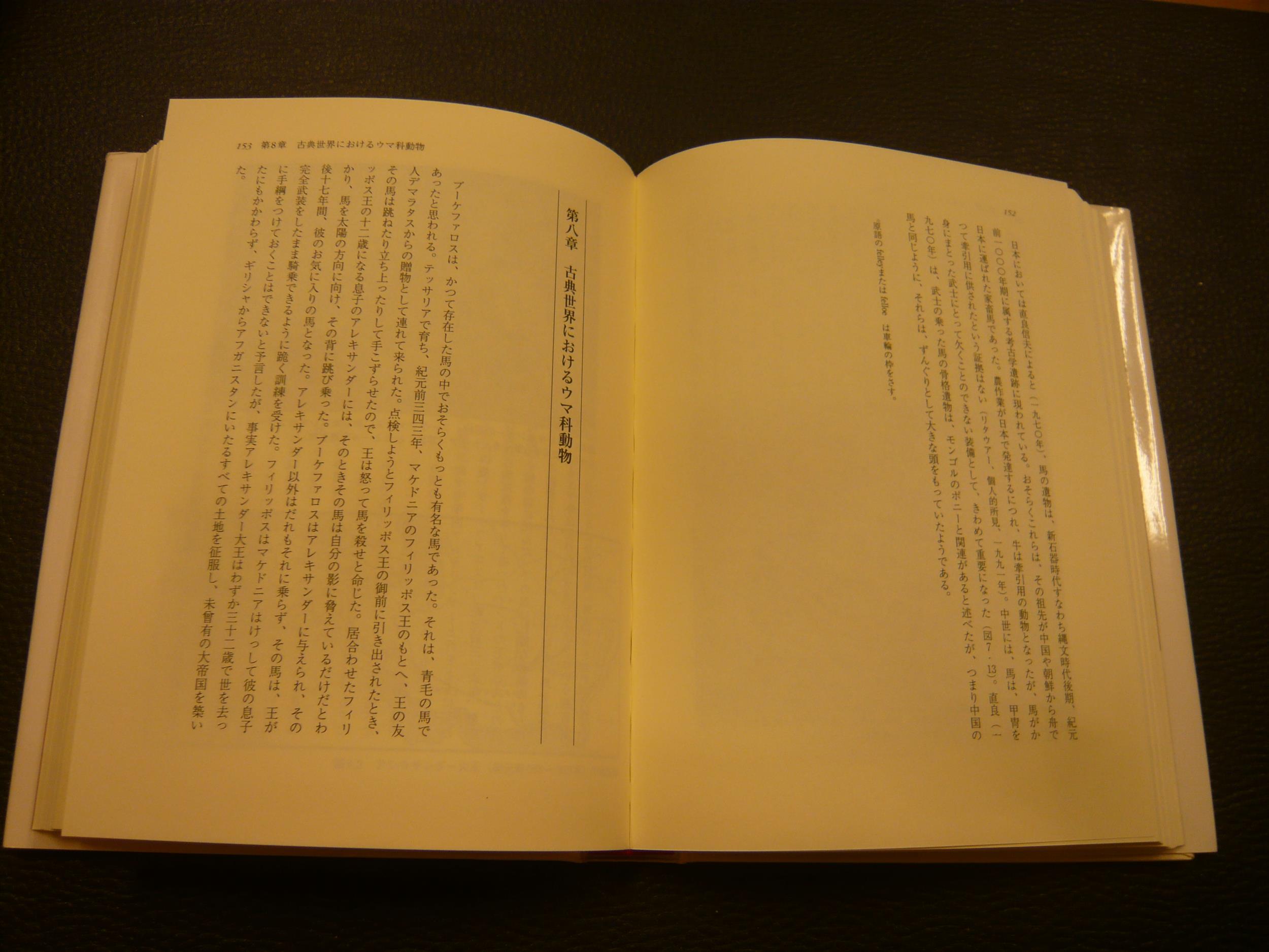 図説 馬と人の文化史 J クラットン ブロック 著 桜井清彦 監訳 清水雄次郎 訳 古本 中古本 古書籍の通販は 日本の古本屋 日本の古本屋 図説 馬と人の文化史 J クラットン ブロック 著 桜井清彦 監訳 清水雄次郎 訳 古本 中古本 古書籍の通販は 日本の古本屋 日本の古本屋