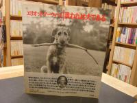 「我われは犬である」　ソフトカバー版