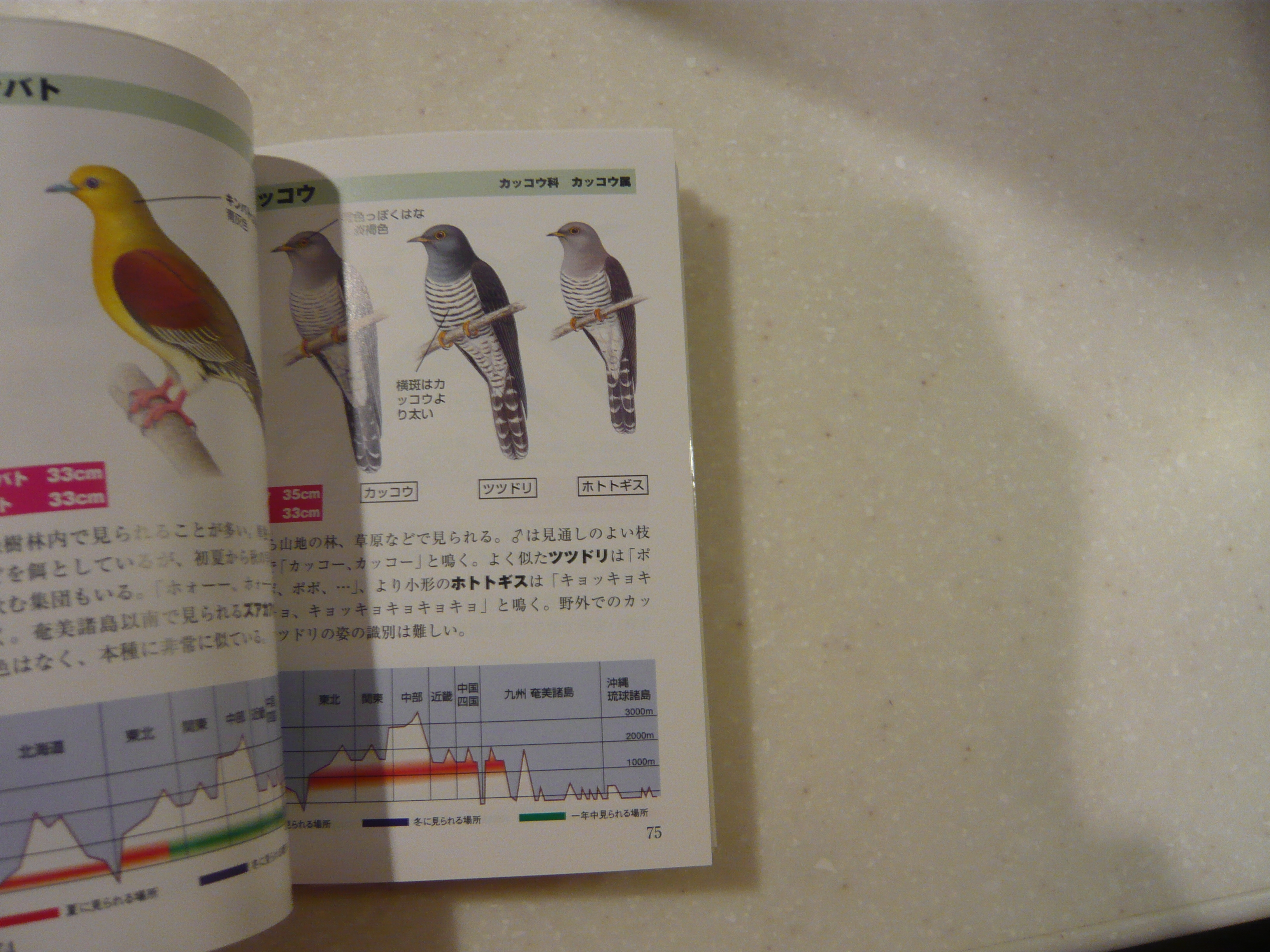 ひと目で見分ける２８７種 野鳥ポケット図鑑 久保田修 著 古本 中古本 古書籍の通販は 日本の古本屋 日本の古本屋