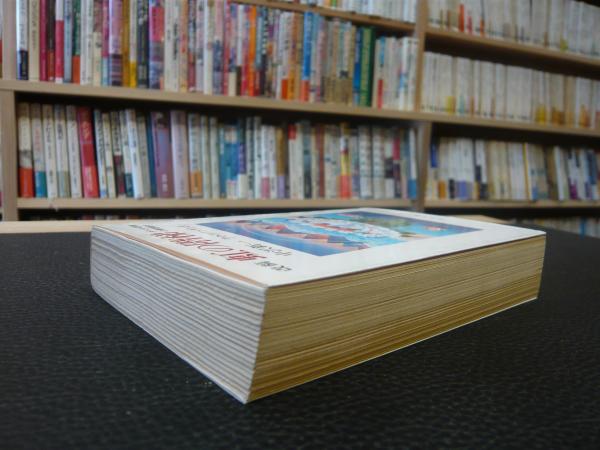 改稿 虹の階梯」 チベット密教の瞑想修行(中沢新一, ラマ