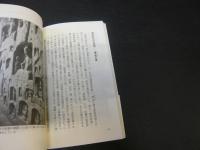 「仏のきた道」　 中国の仏教文化を探る