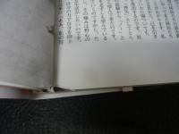 「素顔のアメリカ作家たち」　 90年代への予感 Interview