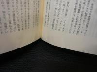 「アメリカ文化のいま」　人種・ジェンダー・階級