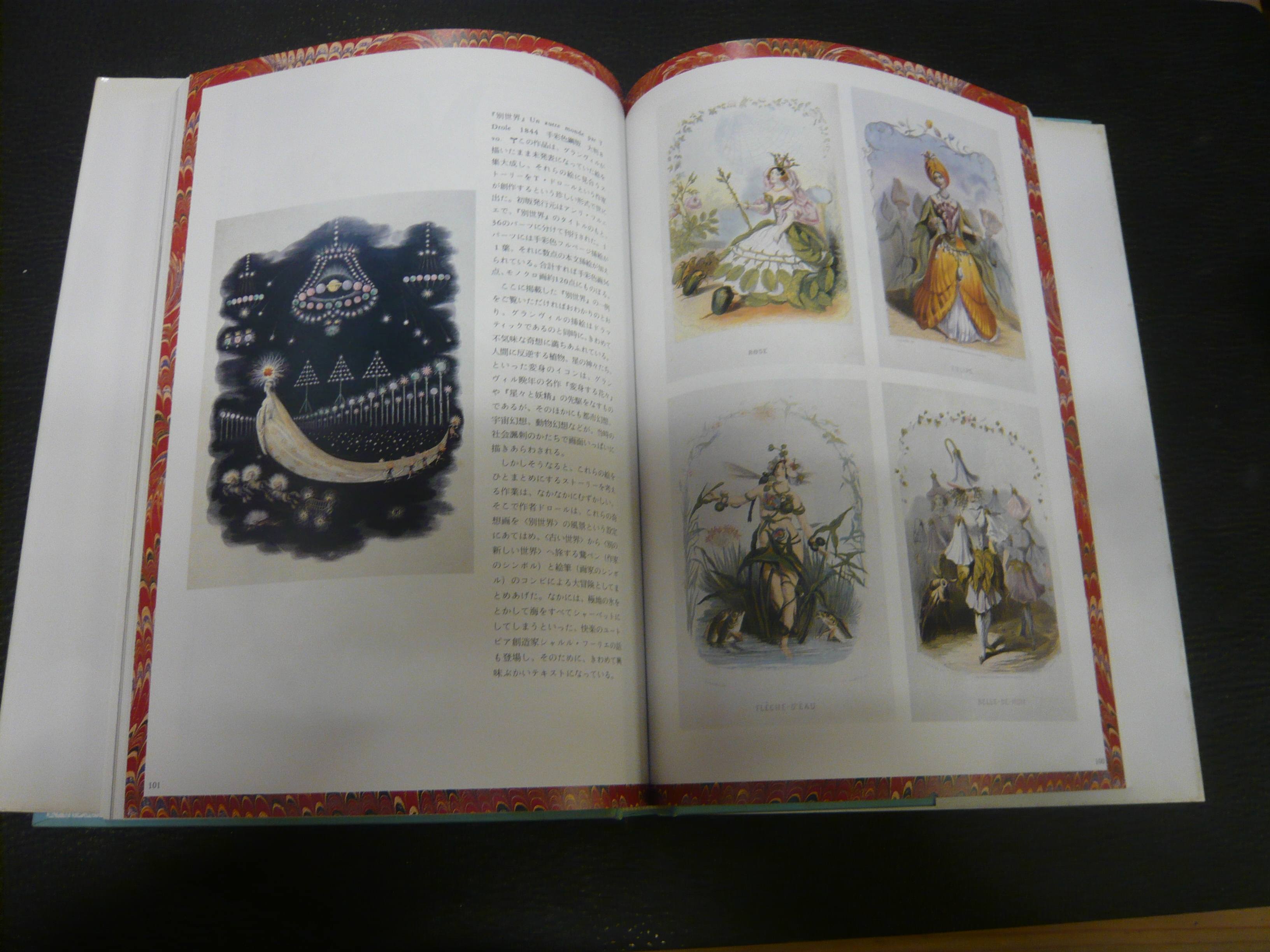 Books Beautiful 絵のある本の歴史 荒俣宏 著 古書猛牛堂 古本 中古本 古書籍の通販は 日本の古本屋 日本の古本屋