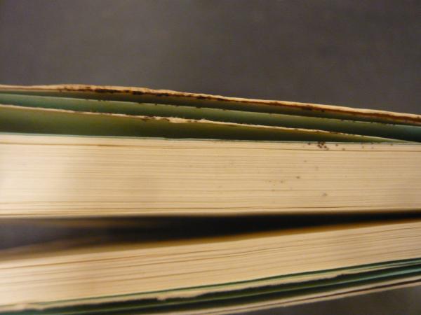 ニホンザルの自然社会 エコミュージアムとしての屋久島 高畑由起夫 山極寿一 編著 古本 中古本 古書籍の通販は 日本の古本屋 日本の古本屋