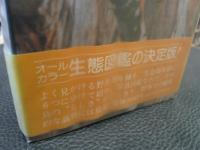 「野鳥」