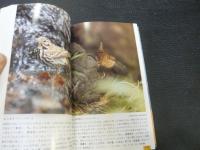 「野鳥」