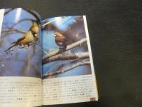 「野鳥」