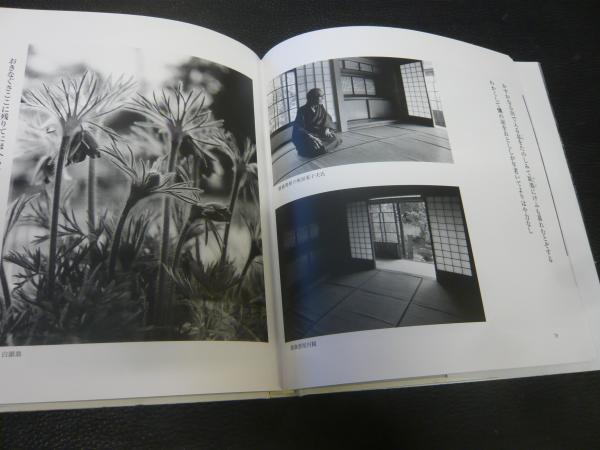 斎藤茂吉 白き山 と最上川 小平博之 著 古本 中古本 古書籍の通販は 日本の古本屋 日本の古本屋