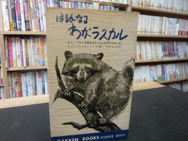 はるかなるわがラスカル スターリング ノース 著 川口正吉 訳 古本 中古本 古書籍の通販は 日本の古本屋 日本の古本屋 はるかなるわがラスカル スターリング ノース 著 川口正吉 訳 古本 中古本 古書籍の通販は 日本の古本屋 日本の古本屋