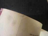 「文学と直感」