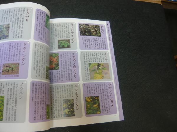 名人が教える山菜の採り方・食べ方 / 瀬畑 雄三【監修