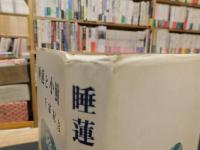 「睡蓮と小鮒」