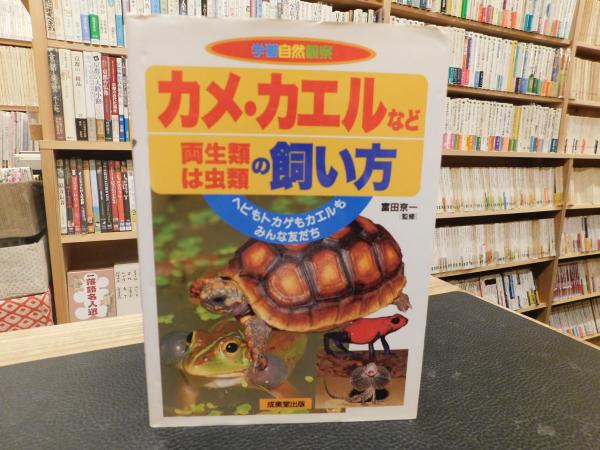 【中古】 カメ・カエルなど両生類・は虫類の飼い方 ヘビもトカゲもカエルもみんな友だち/成美堂出版/富田京一 カメ・カエルなど両生類・は虫類の飼い方 / 富田 京一【監修