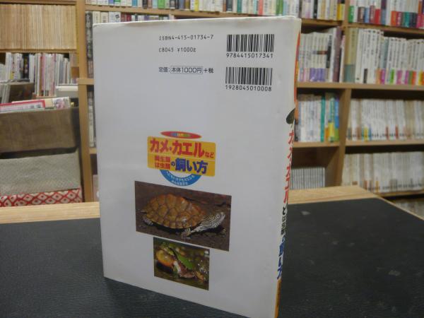 【中古】 カメ・カエルなど両生類・は虫類の飼い方 ヘビもトカゲもカエルもみんな友だち/成美堂出版/富田京一 カメ・カエルなど両生類は虫類の飼い方」 ヘビもトカゲもカエル