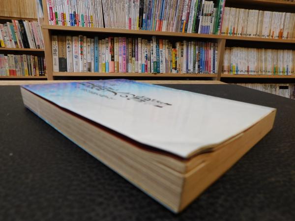 日蓮聖人の霊言―今、一切の宗派を超えて | 善川 三朗 |本 | 通販