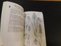 「A field guide to Wildflowers」　 Northeastern and North-Central North America : visual approach arranged by color, form, and detail