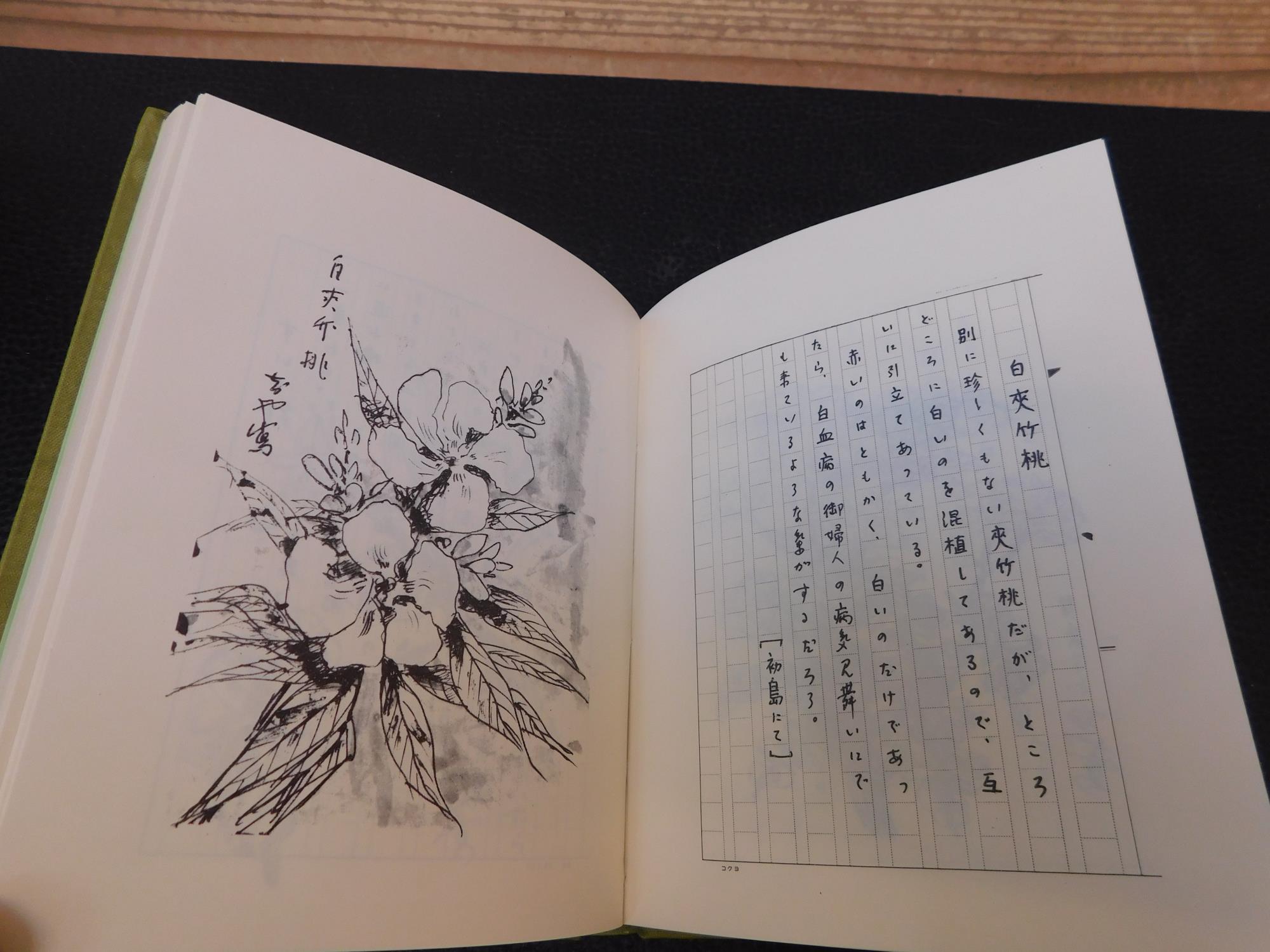 売切り屋】朝田鶴集 俳諧集 天保 菊屋平兵衛 朝田鶴 古書和本