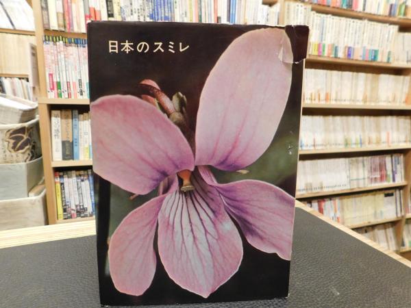Amazon.co.jp: 日本スミレ図譜/井波一雄前川文夫/井波さんの巧み