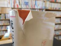 「統一ドイツの法変動」　統一の一つの決算