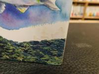 「琉球の清流」　リュウキュウアユがすめる川を未来へ