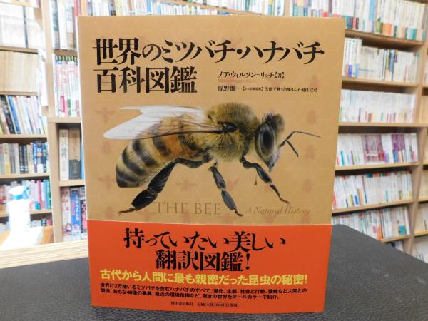 世界のミツバチ・ハナバチ百科図鑑」(ノア・ウィルソン=リッチ 著 ; 原野健一 日本語版監修 ; 矢能千秋, 寺西のぶ子, 夏目大 訳) / 古本、中古本、古書籍の通販は「日本の古本屋」 / 日本の古本屋 世界のミツバチ・ハナバチ百科図鑑」(ノア・ウィルソン=リッチ 著 ; 原野健一 日本語版監修 ; 矢能千秋, 寺西のぶ子, 夏目大 訳) / 古本、中古本、古書籍の通販は「日本の古本屋」 / 日本の古本屋