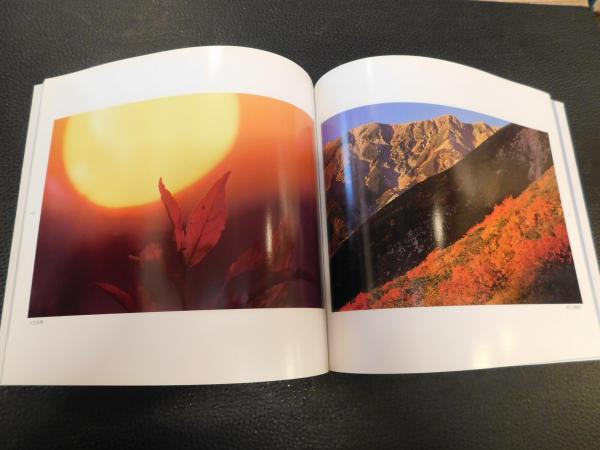スーツ特別割引クーポン 横山宏写真集 立山夢幻」 古本 / 古書猛牛堂 / BeeBooks(横山宏) 複数作家