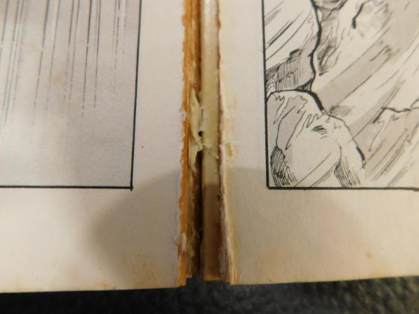 まだらの少女」(楳図かずお 著) / 古本、中古本、古書籍の通販は