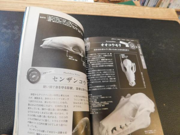 頭骨図鑑」(吉田賢治 監修) / 古本、中古本、古書籍の通販は
