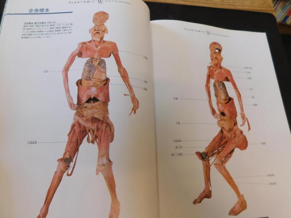 新・人体の不思議展」 / 古本、中古本、古書籍の通販は「日本の古本屋
