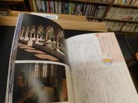 「奇想遺産」　世界のふしぎ建築物語