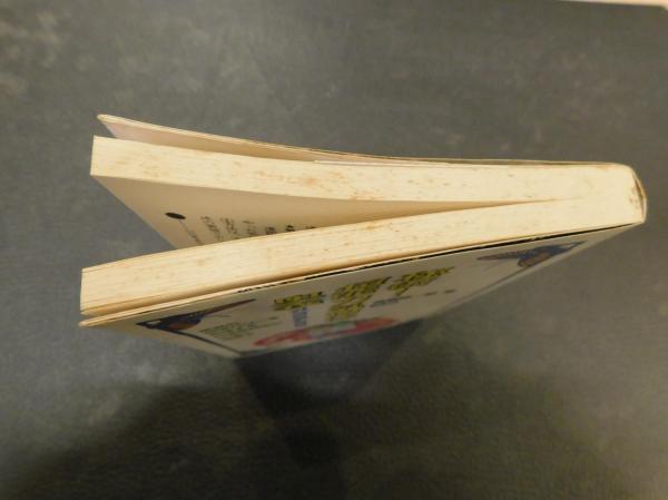 秘術！超能力気功法奥義」(高藤聡一郎 著) / 古本、中古本、古