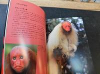 「赤い生きもの図鑑」