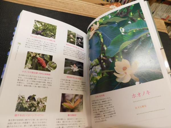 野に咲く花の生態図鑑 多田多恵子 著 古書猛牛堂 古本 中古本 古書籍の通販は 日本の古本屋 日本の古本屋