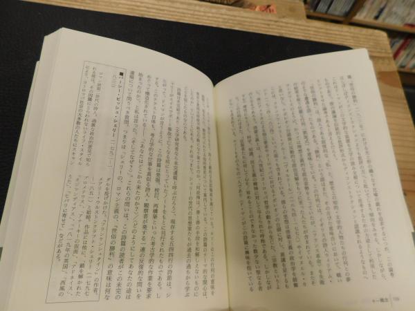 ポール・ド・マンの思想」(マーティン・マックィラン 著 ; 土田知則 訳