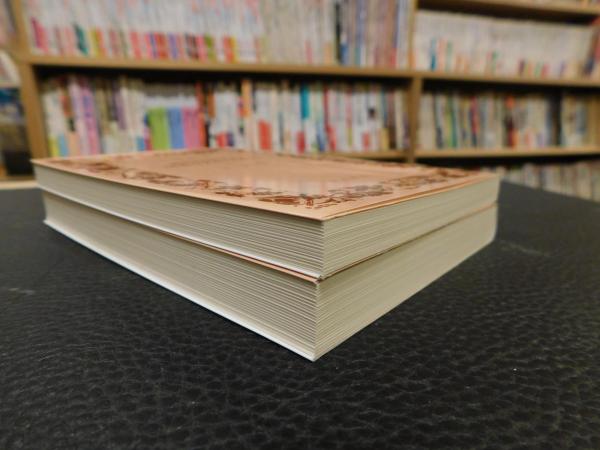 純粋現象学及現象学的哲学考案 上・下 2冊揃 2017年発行分