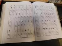 「新甲骨文編」