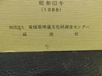 「水満田古墳群」　金毘羅山支群 砥部町水満田古墳公園整備事業埋蔵文化財調査報告書　　愛媛県