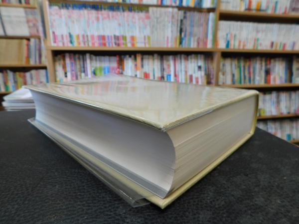 篆隸大字典 平成20年 2008年 初版 230051