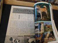 「文藝春秋デラックス　ヒゲのある友　イヌとネコ　No.35　昭和５２年３月号」
